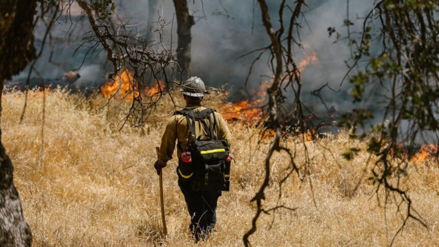 Feux de forêt : six départements du Sud en alerte rouge