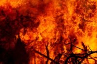 Gironde : une canicule à 40 °C attendue dès mardi