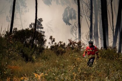 Gironde : 93 pompiers blessés, la chaleur inquiète jeudi Gironde : 93 pompiers blessés, la chaleur inquiète jeudi