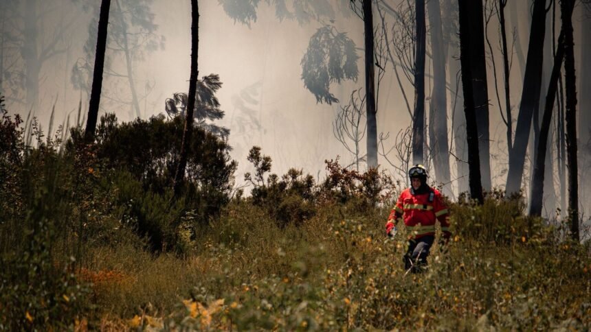 Gironde : 93 pompiers blessés, la chaleur inquiète jeudi Gironde : 93 pompiers blessés, la chaleur inquiète jeudi