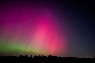 Horoscope du mardi 28 juillet : ce que disent les astres