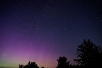 Horoscope du samedi 25 juillet : ce que disent les astres