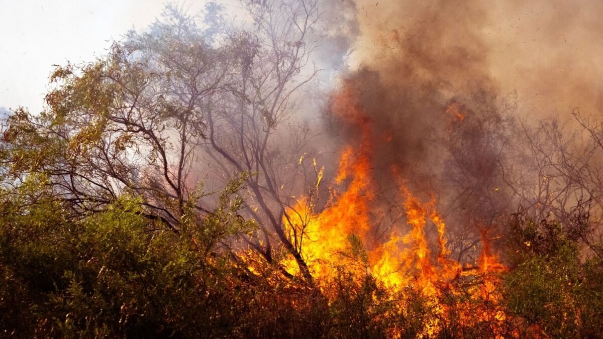 Incendie du Var : le feu de Pontevès enfin fixé