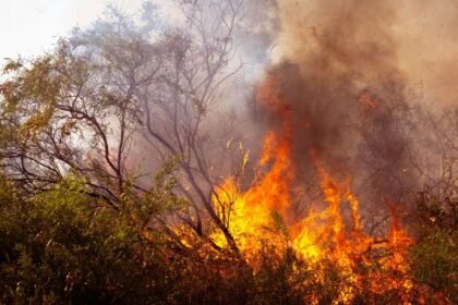 Incendie du var : le feu de pontevès enfin fixé Incendie du Var : le feu de Pontevès enfin fixé