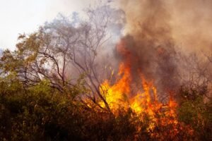 Incendie du Var : le feu de Pontevès enfin fixé