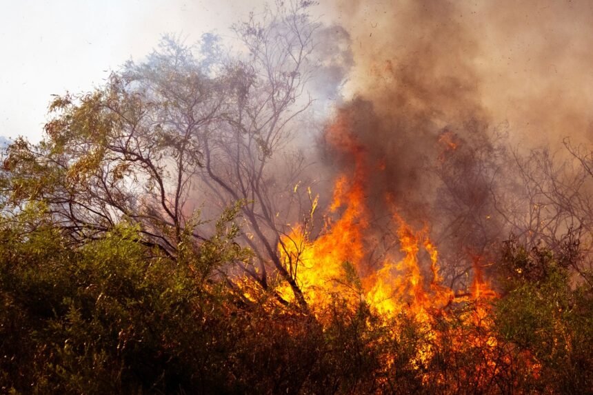 Incendie du Var : le feu de Pontevès enfin fixé