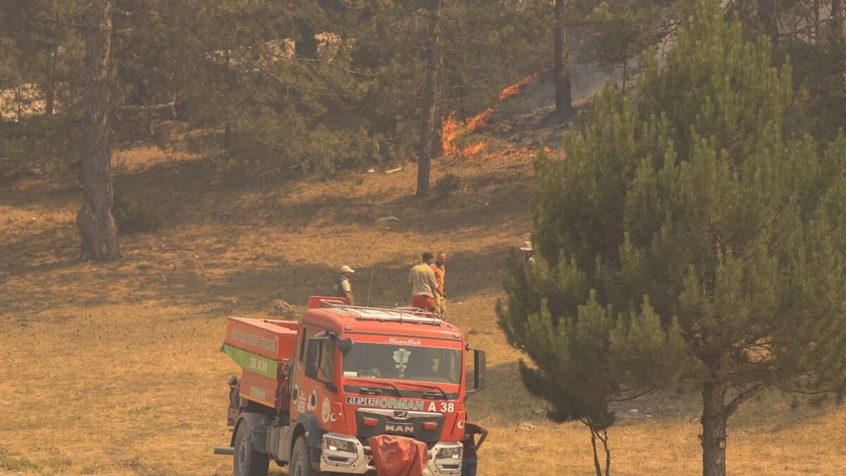 Incendies en Europe : 2026 proche d’un record historique
