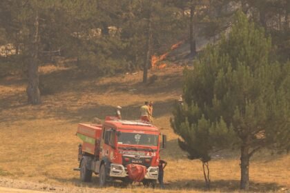 Incendies en Europe : 2026 proche d'un record historique