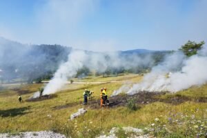 Landes : l'incendie de biscarrosse maîtrisé, tous les quartiers rouvrent Landes : l'incendie de Biscarrosse maîtrisé, tous les quartiers rouvrent