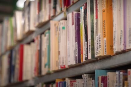 Étagère de livres d'occasion rangés dans une librairie