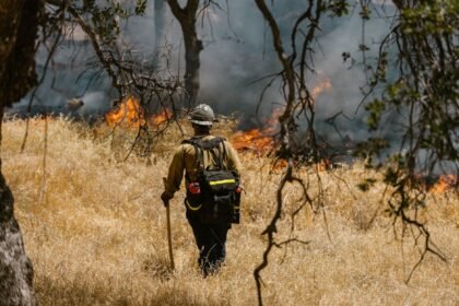 Var : le feu de pontevès repart près de correns, nouvelles évacuations Var : le feu de Pontevès repart près de Correns, nouvelles évacuations