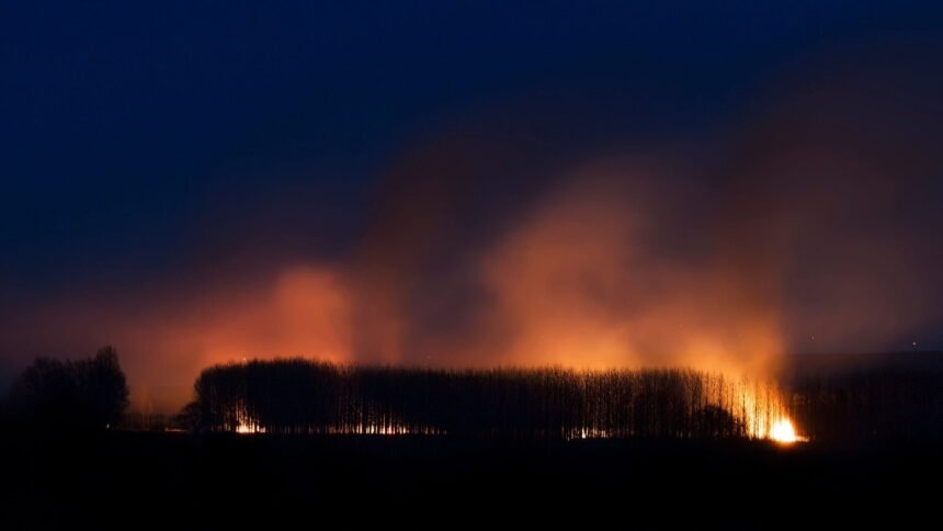 Var : un homme de 23 ans mis en examen pour incendies Var : un homme de 23 ans mis en examen pour incendies