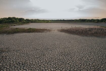 Canicule : le Sud-Est étouffe sous 40 °C, accalmie attendue vendredi