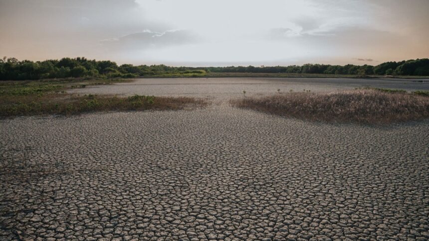 Canicule : le sud-est étouffe sous 40 °c, accalmie attendue vendredi Canicule : le Sud-Est étouffe sous 40 °C, accalmie attendue vendredi