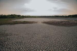 Canicule : le sud-est étouffe sous 40 °c, accalmie attendue vendredi Canicule : le Sud-Est étouffe sous 40 °C, accalmie attendue vendredi