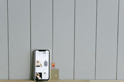 Revolut obtient sa licence bancaire en france et investit plus d'un milliard d'euros Revolut obtient sa licence bancaire en France et investit plus d’un milliard d’euros