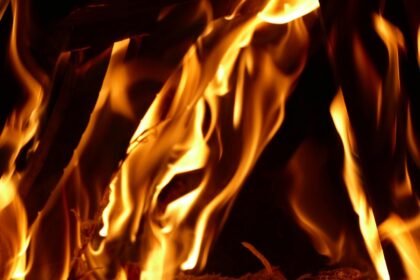 Canicule 2026 : 17 jours de chaleur intense, la vague dépasse celle de 2003 Canicule 2026 : 17 jours de chaleur intense, la vague dépasse celle de 2003