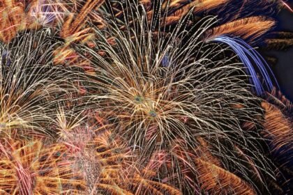 Aude : trois blessés lors d'explosions dans un camion de feux d'artifice à gruissan Aude : trois blessés lors d’explosions dans un camion de feux d’artifice à Gruissan