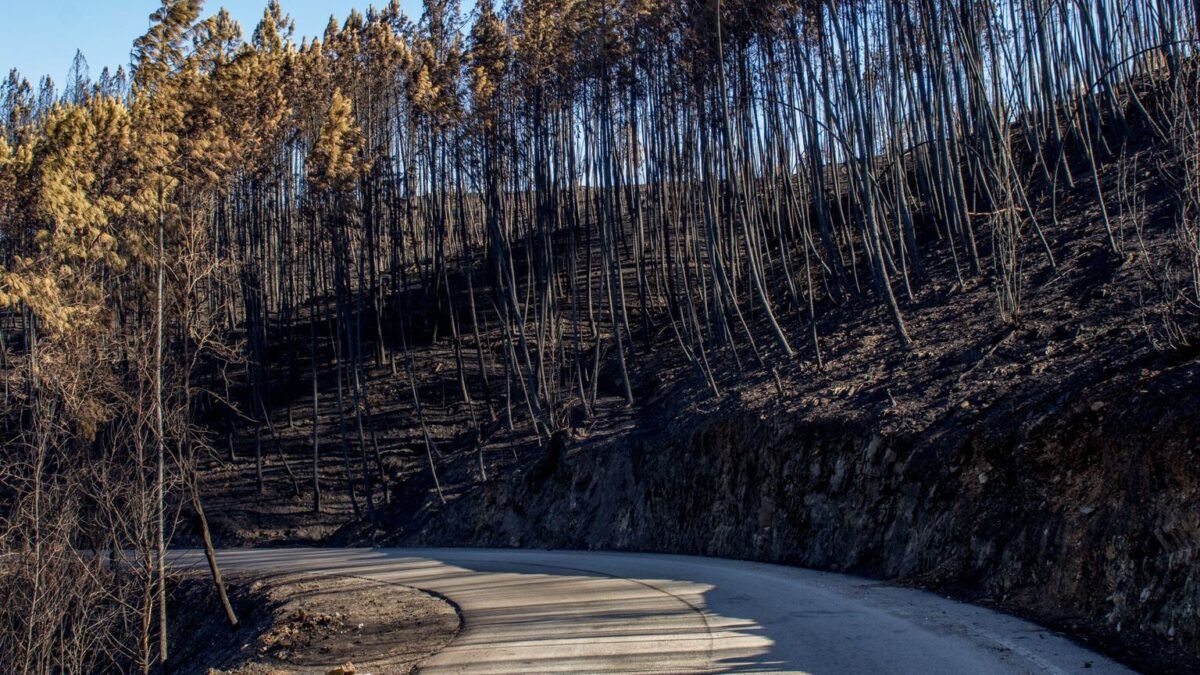Incendie Aude : l’A61 fermée près de Carcassonne, 100 pompiers mobilisés