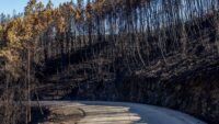 Accidents et incendies sur les autoroutes : le dossier