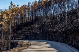 Incendie aude : l’a61 fermée près de carcassonne, 100 pompiers mobilisés incendie Seine-et-Marne