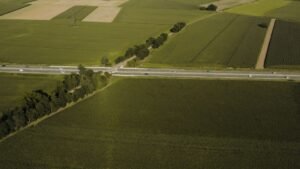 À, place, cœur, 8211, saison