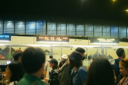 Khat à roissy : un suisse condamné à 10 mois de prison après une saisie de 144 kilos Khat à Roissy : un Suisse condamné à 10 mois de prison après une saisie de 144 kilos
