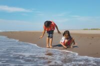 Secours populaire : 5 000 enfants franciliens découvrent la mer à deauville quotidien, tmc, officialise, arrivées, wheeler