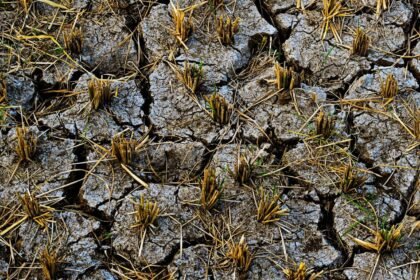 Sécheresse, canicule et incendies : la ministre reconnaît une « crise profonde » pour l&rsquo;agriculture française