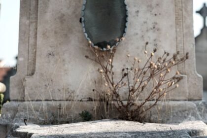 Croix gammées à fécamp : le maire porte plainte après des tags antisémites Croix gammées à Fécamp : le maire porte plainte après des tags antisémites