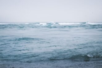 Réchauffement climatique : les océans atteignent un record absolu à 21,1 °c record température océans