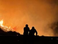 États-unis : un incendie géant force 42 000 évacuations près de reno vidÉos, pnl, lincroyable, défilé, bus