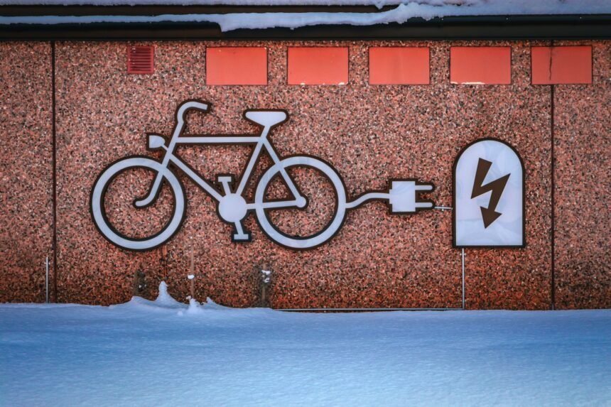 Fraude aux vélos électriques : 10 086 deux-roues saisis vendus aux enchères à vendeville vélos électriques saisis