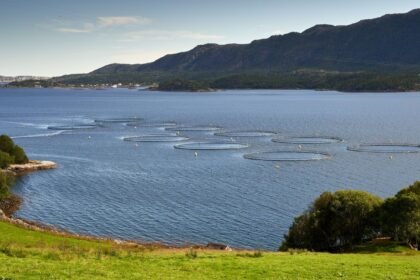Gironde : la préfète autorise la méga-ferme pure salmon malgré l'opposition Gironde : la préfète autorise la méga-ferme Pure Salmon malgré l’opposition