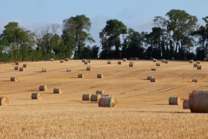 Budget 2027 : Lecornu promet un plan agricole et écarte toute hausse d&rsquo;impôts
