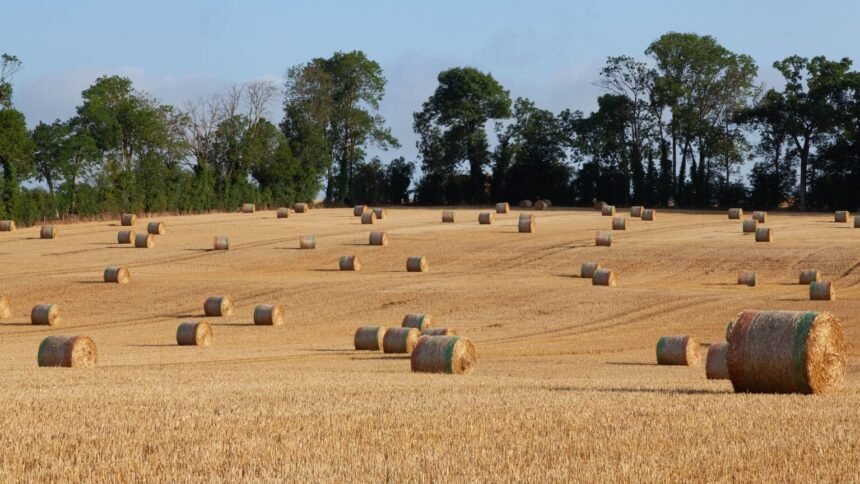 Budget 2027 : lecornu promet un plan agricole et écarte toute hausse d'impôts Budget 2027 : Lecornu promet un plan agricole et écarte toute hausse d’impôts