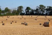 Budget 2027 : lecornu promet un plan agricole et écarte toute hausse d'impôts catherine, deneuve, invitée, exceptionnelle, burger