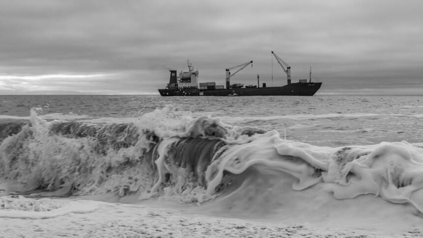 Mer noire : le cargo allemand emil attaqué par des drones russes Mer Noire : le cargo allemand EMIL attaqué par des drones russes
