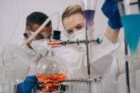 Hantavirus des andes : un cas importé confirmé en france, des experts réunis en urgence tf1, record, drsquoaudience, demain, appartient