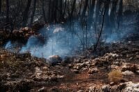 Canada : une femme de 80 ans meurt en fuyant un incendie, 20 000 évacués Canada : une femme de 80 ans meurt en fuyant un incendie, 20 000 évacués