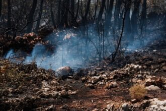 Canada : une femme de 80 ans meurt en fuyant un incendie, 20 000 évacués