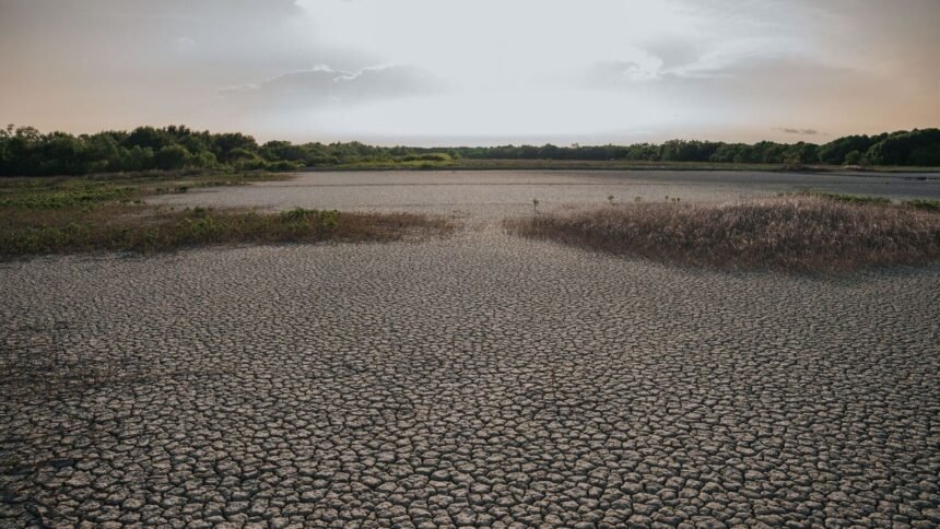 Canicule : un blocage anticyclonique retient la chaleur sur la france Canicule : un blocage anticyclonique retient la chaleur sur la France