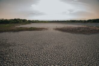 Canicule : un blocage anticyclonique retient la chaleur sur la France