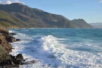 Canicule en Corse : jusqu'à 42 °C attendus ce jeudi, vigilance orange