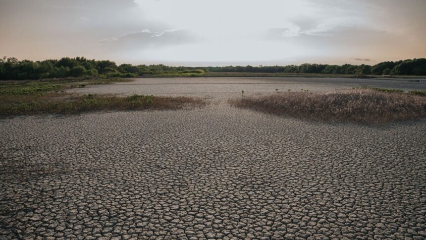 Canicule : la vigilance orange s'étend à 12 départements avant un pic mercredi Canicule : la vigilance orange s’étend à 12 départements avant un pic mercredi