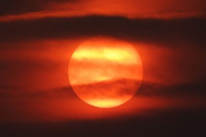Canicule : la France sans aucun département en vigilance orange
