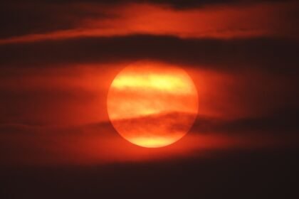 Canicule : la france sans aucun département en vigilance orange Canicule : la France sans aucun département en vigilance orange