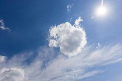Canicule : 40,7 °c relevés mercredi, la vigilance rouge activée jeudi Canicule : 40,7 °C relevés mercredi, la vigilance rouge activée jeudi