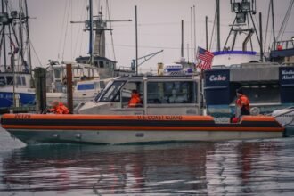 Collision de bateaux à Cannes : la vitesse excessive pointée par l'enquête