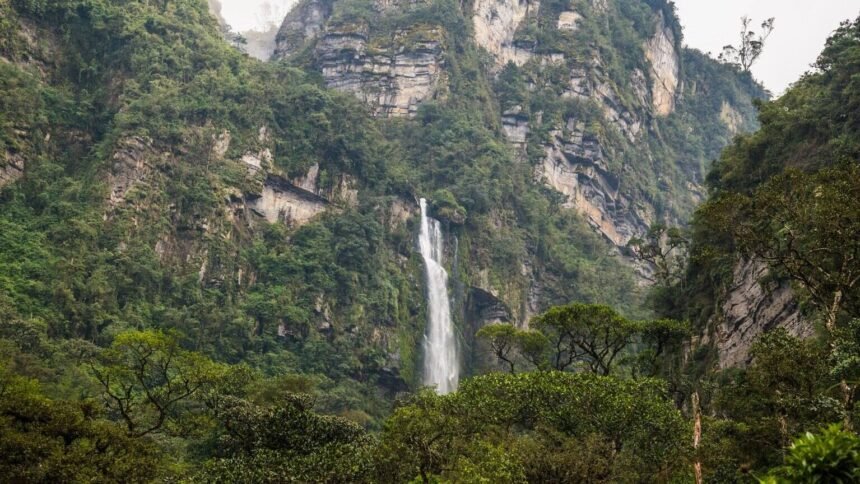 Colombie : un légionnaire français enlevé par des dissidents des farc Colombie : un légionnaire français enlevé par des dissidents des FARC